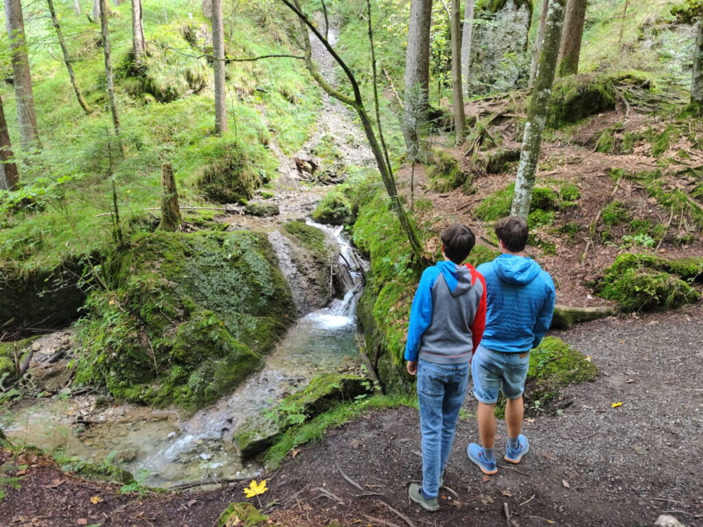 Hinanger Wasserfälle Wanderung: Vom kleinen Wasserfall geht es hinauf bis zum Größten